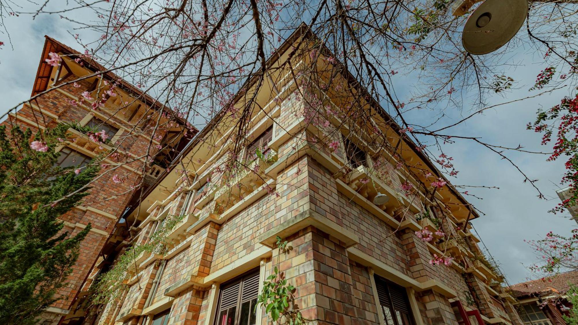 Saphir Dalat Hotel מראה חיצוני תמונה